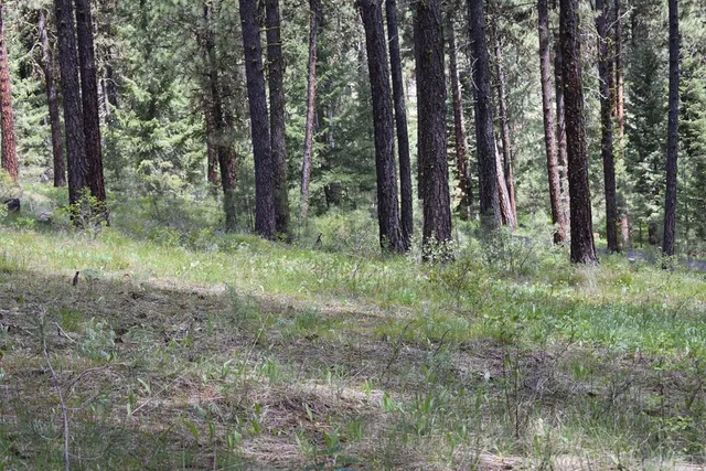 $79,000 | Tbd Syringa Drive, Unit 5, New Meadows, ID 83654