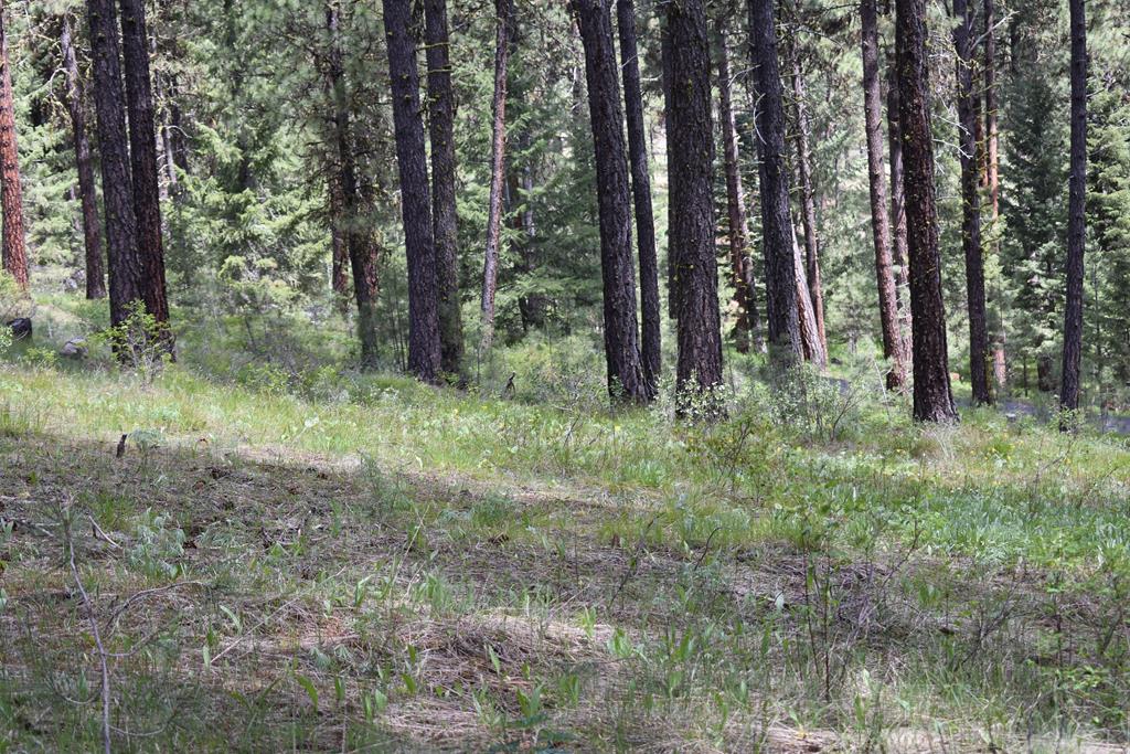 Tbd Syringa Drive, Unit 5 New Meadows, ID 83654 - Photo 5 of 12