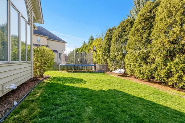 a view of a backyard with plants and large trees