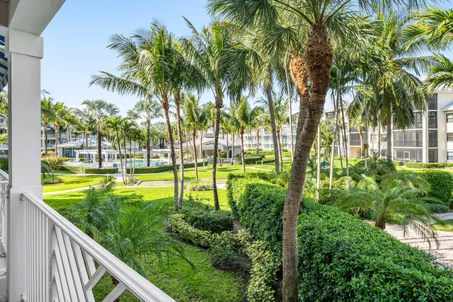 a view of swimming pool from a garden