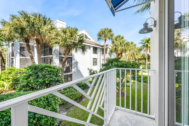 a bird view of a garden