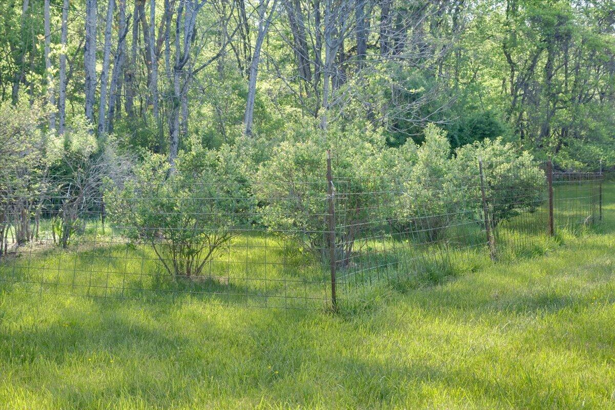 4133 Grove Hill Road Fincastle, VA 24090 - Photo 45 of 66 a view of a lake view with a garden