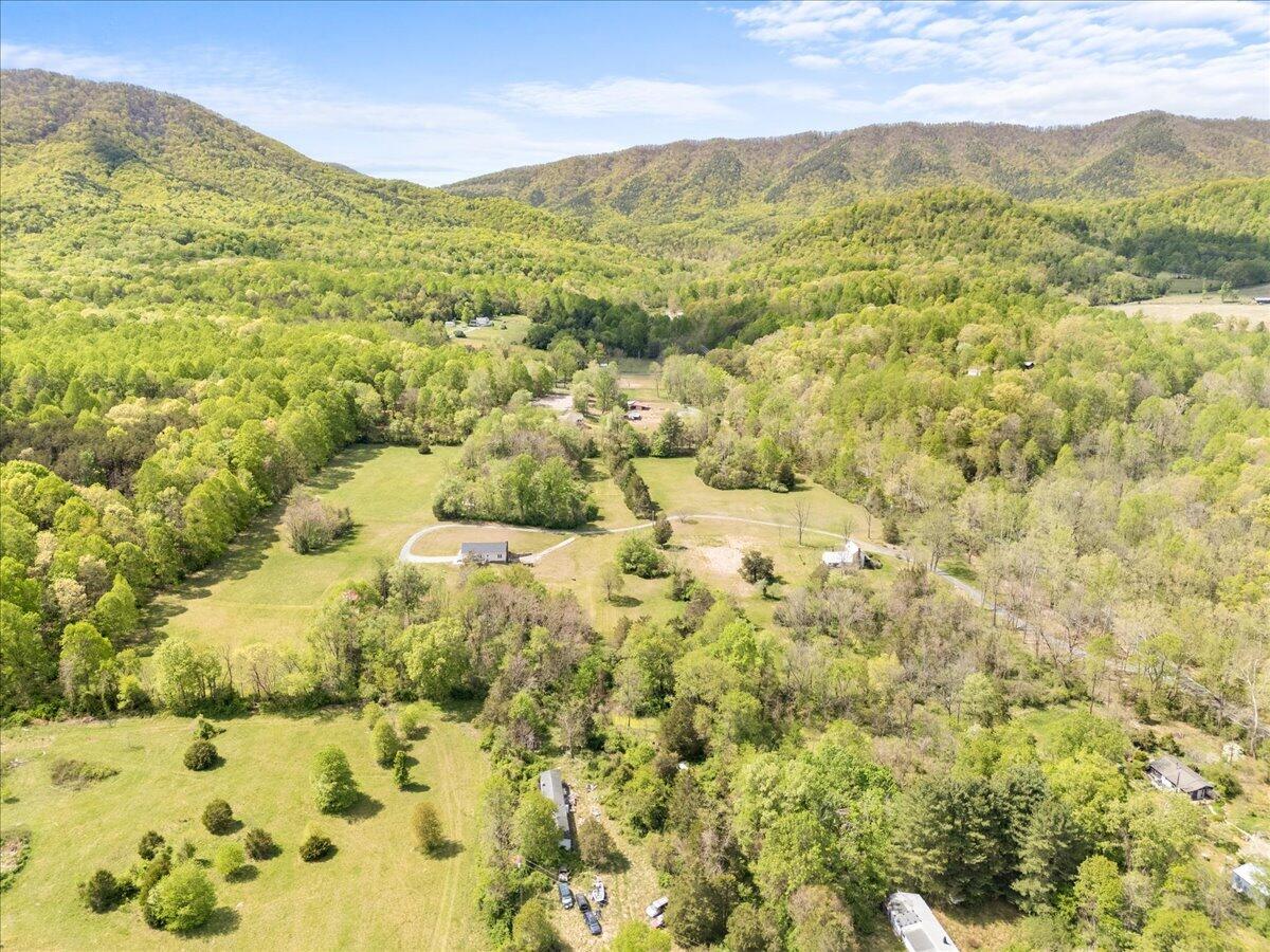 4133 Grove Hill Road Fincastle, VA 24090 - Photo 56 of 66 a view of a mountain view