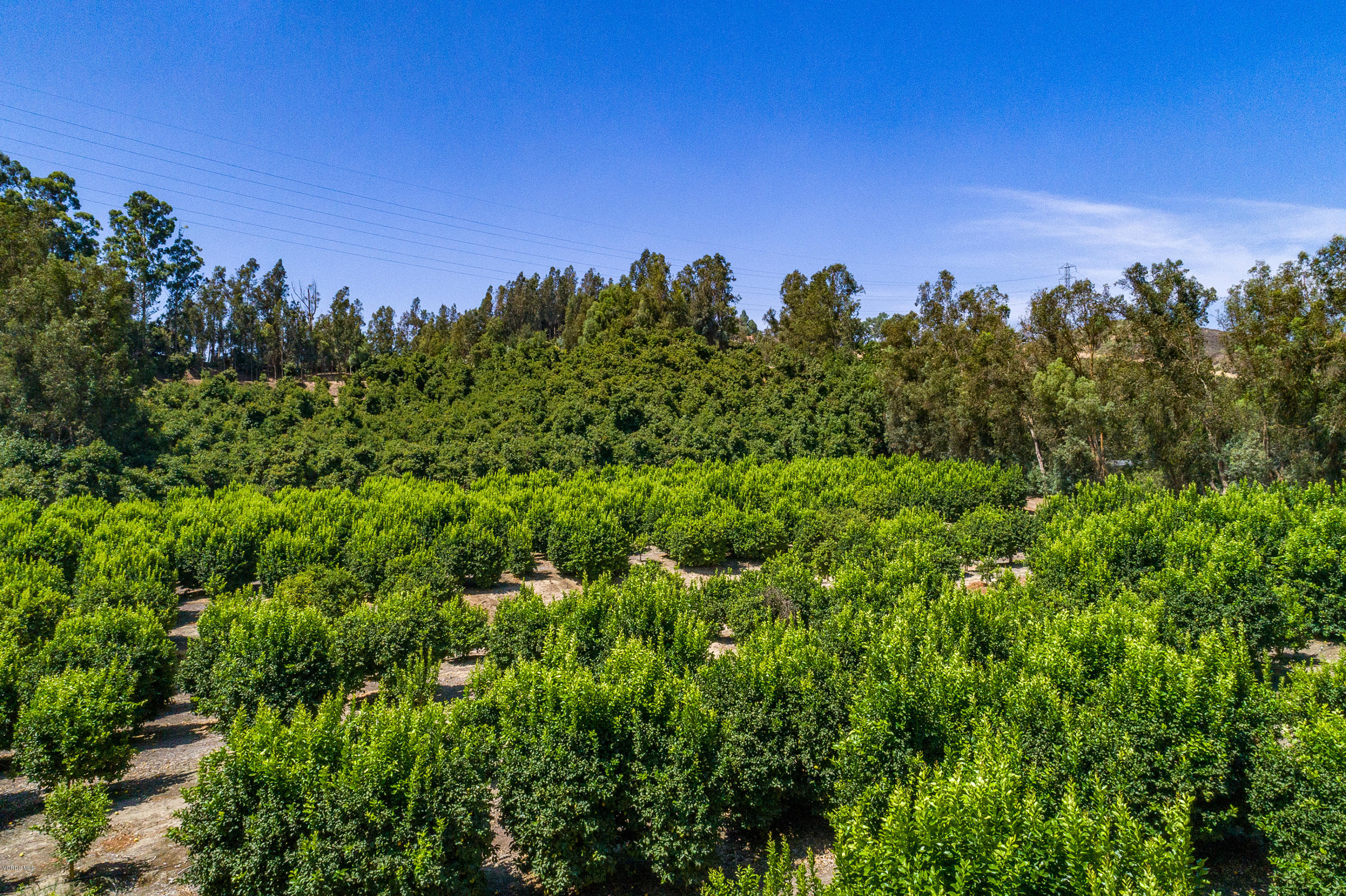 8205 Waters Road Moorpark, CA 93021 - Photo 17 of 21 9 - Copy