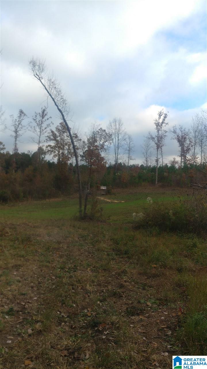 0 Bulldog Bend Road Brierfield, AL 35035 - Photo 20 of 32