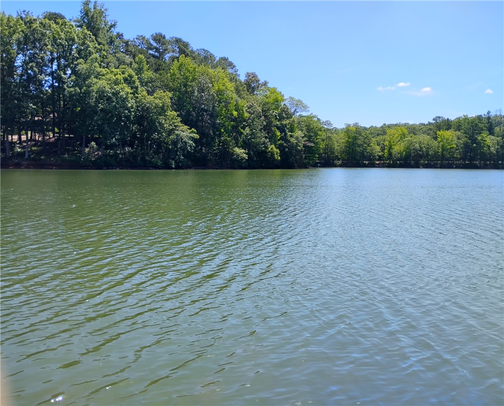 0 Centerville Road Anderson, SC 29625 - Photo 2 of 7