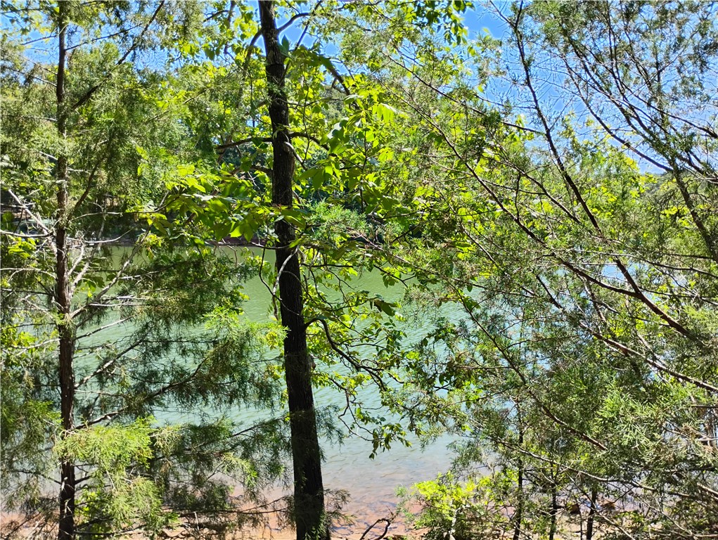 0 Centerville Road Anderson, SC 29625 - Photo 4 of 7