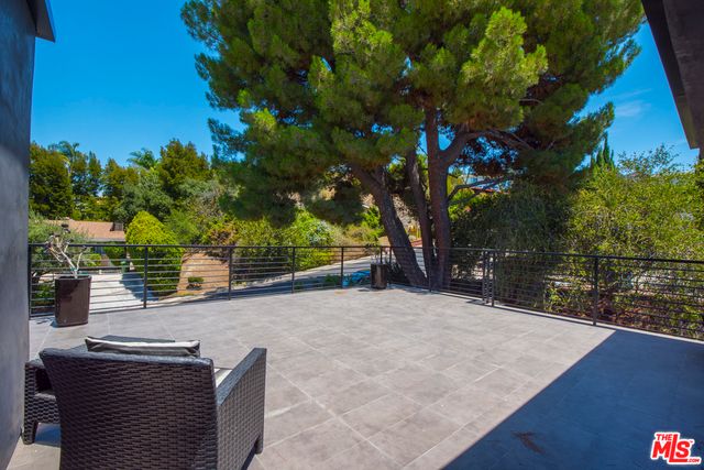 a street view with large trees