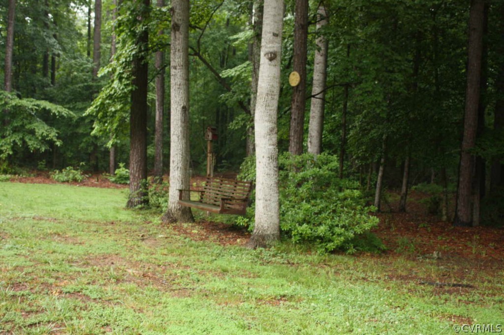 18005 Wilkinson Road Dinwiddie, VA 23841 - Photo 16 of 18 Gallery Image 16