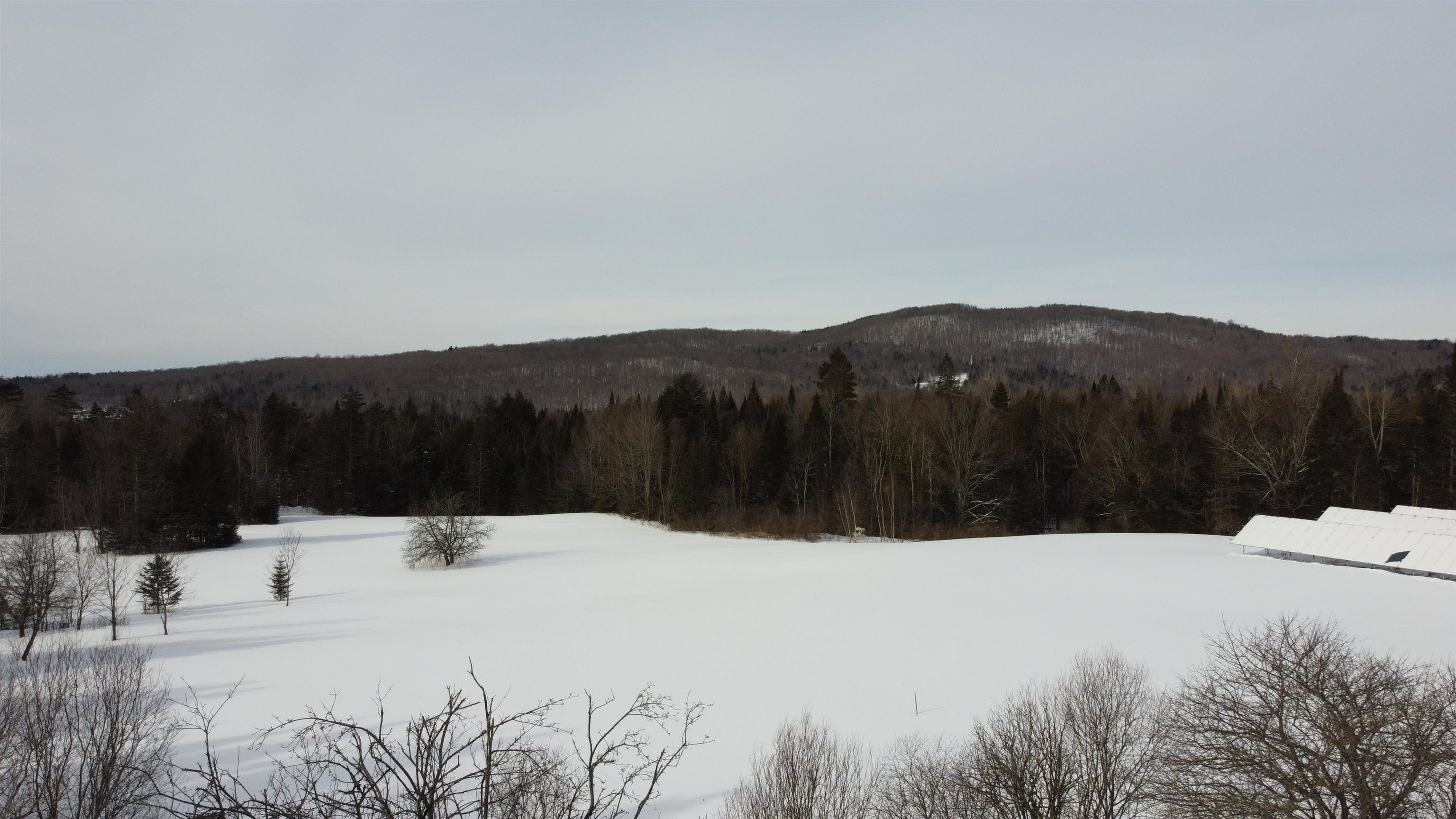 182 Dutton Road Morgan, VT 05853 - Photo 5 of 13