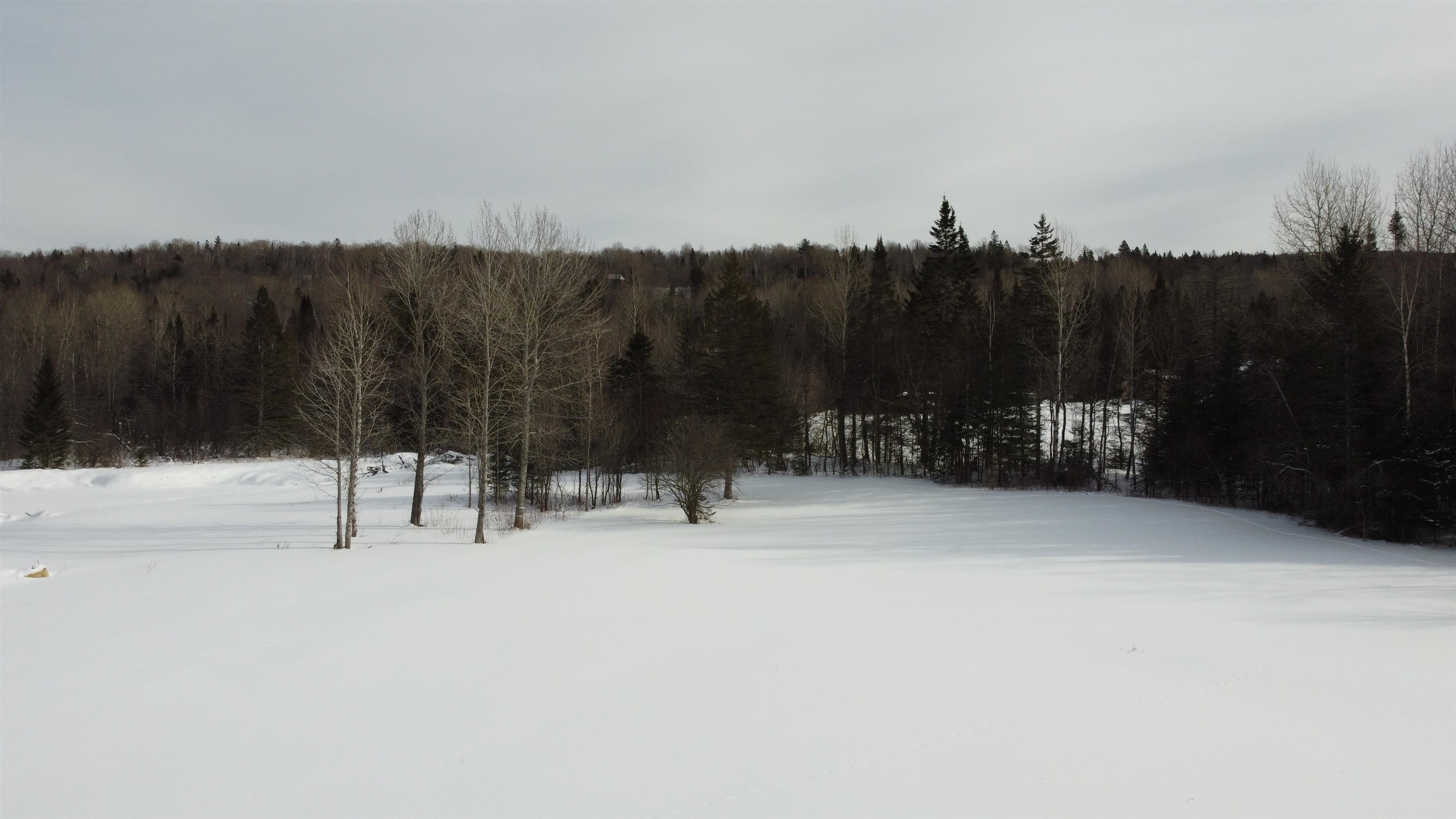 182 Dutton Road Morgan, VT 05853 - Photo 8 of 13