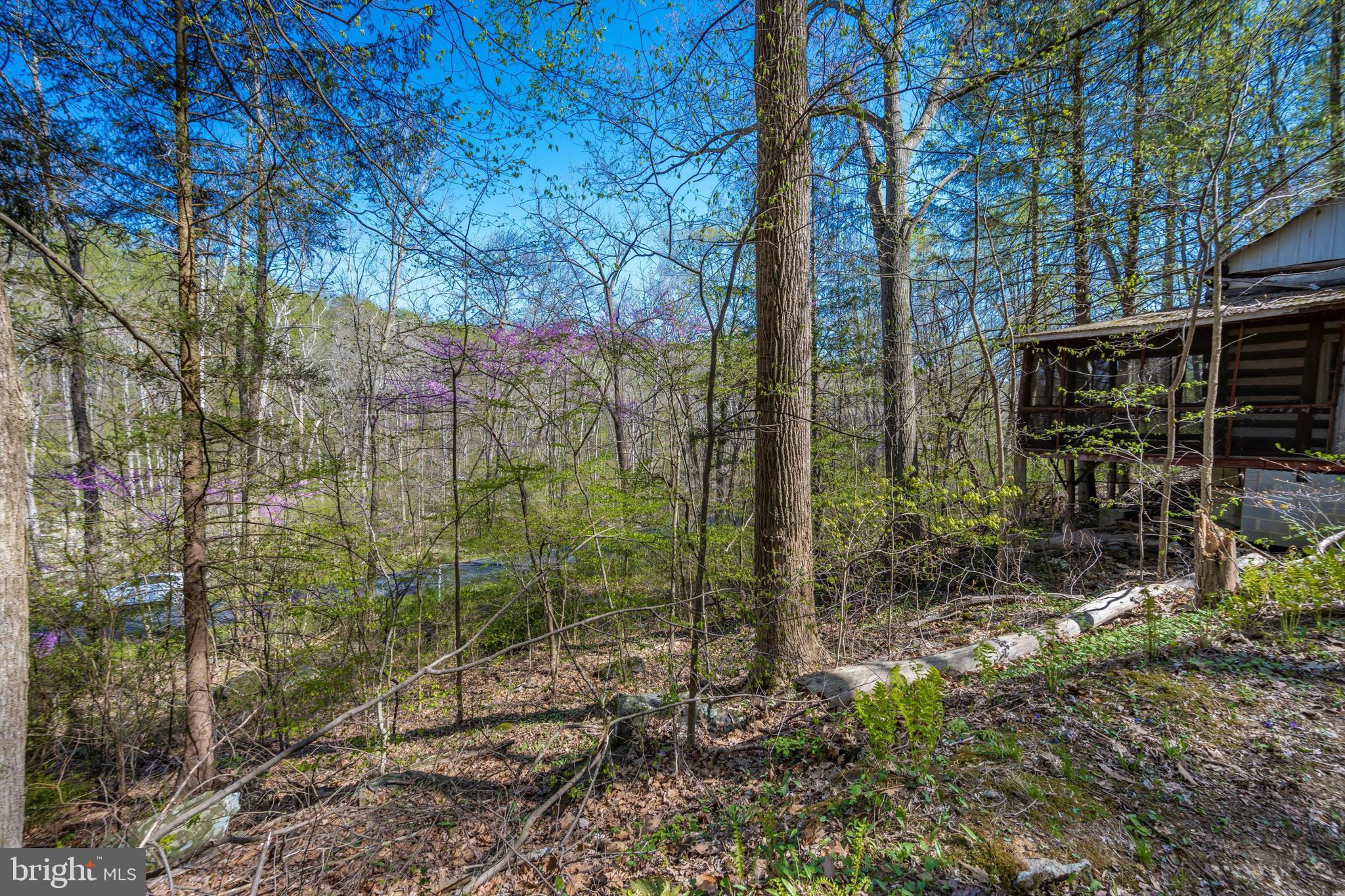 Friends Creek Road Emmitsburg, MD 21727 - Photo 22 of 39