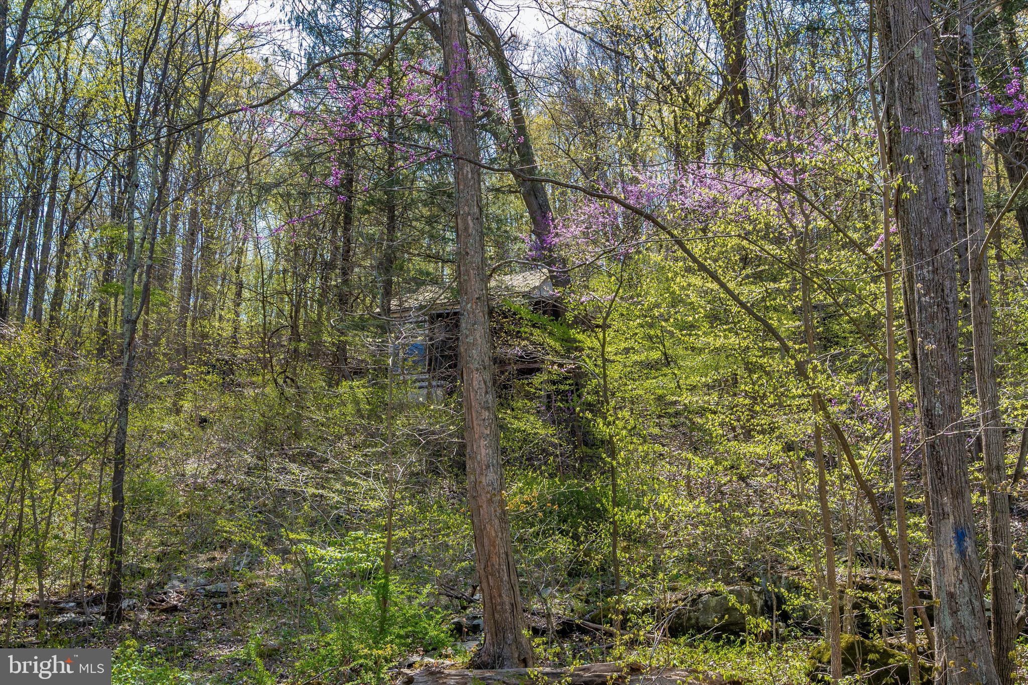 Friends Creek Road Emmitsburg, MD 21727 - Photo 23 of 39