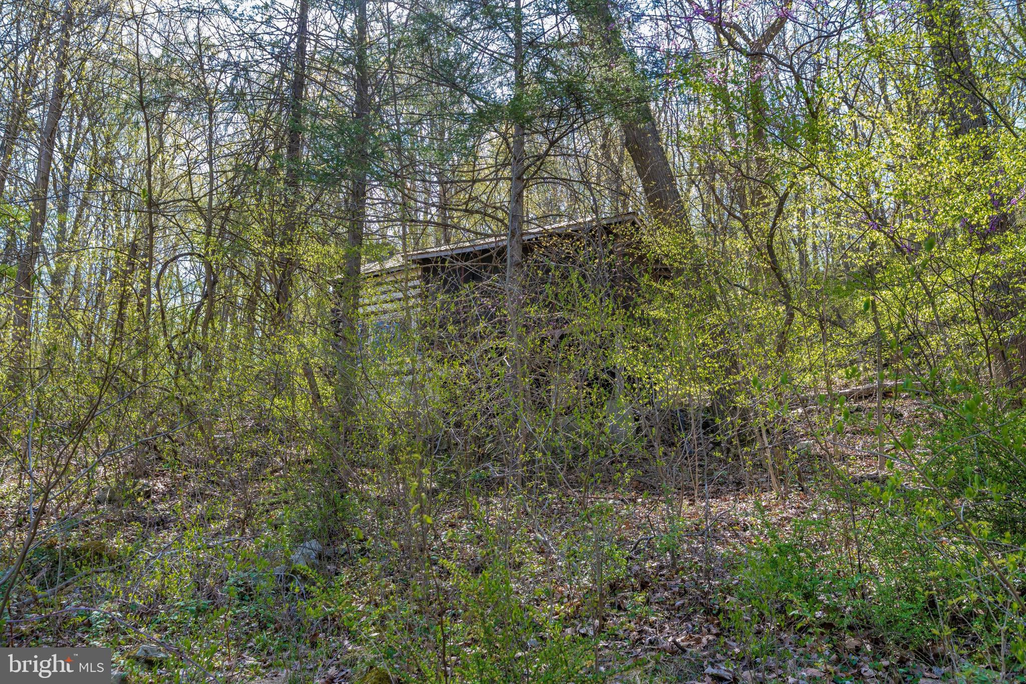 Friends Creek Road Emmitsburg, MD 21727 - Photo 24 of 39