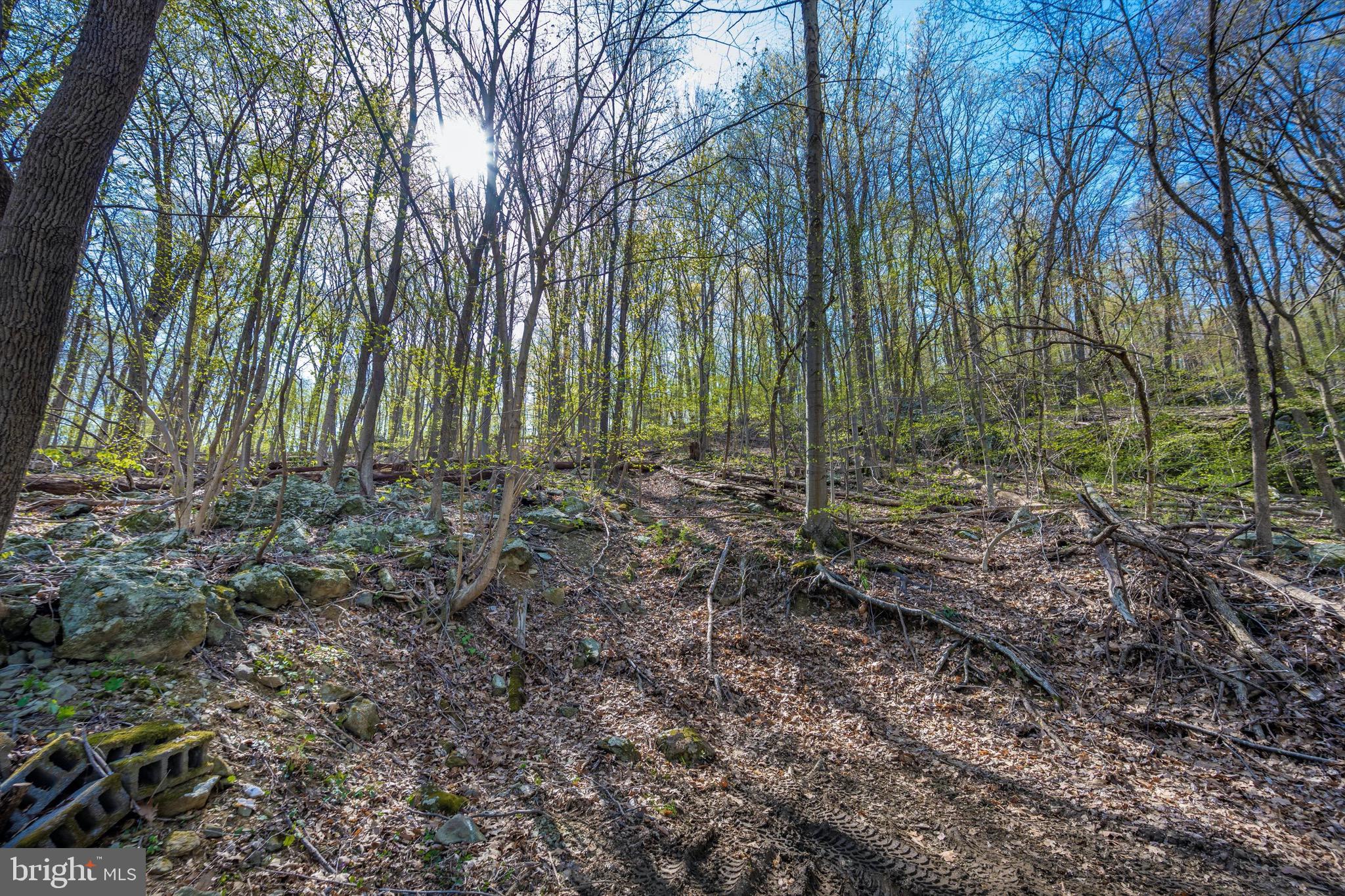 Friends Creek Road Emmitsburg, MD 21727 - Photo 25 of 39