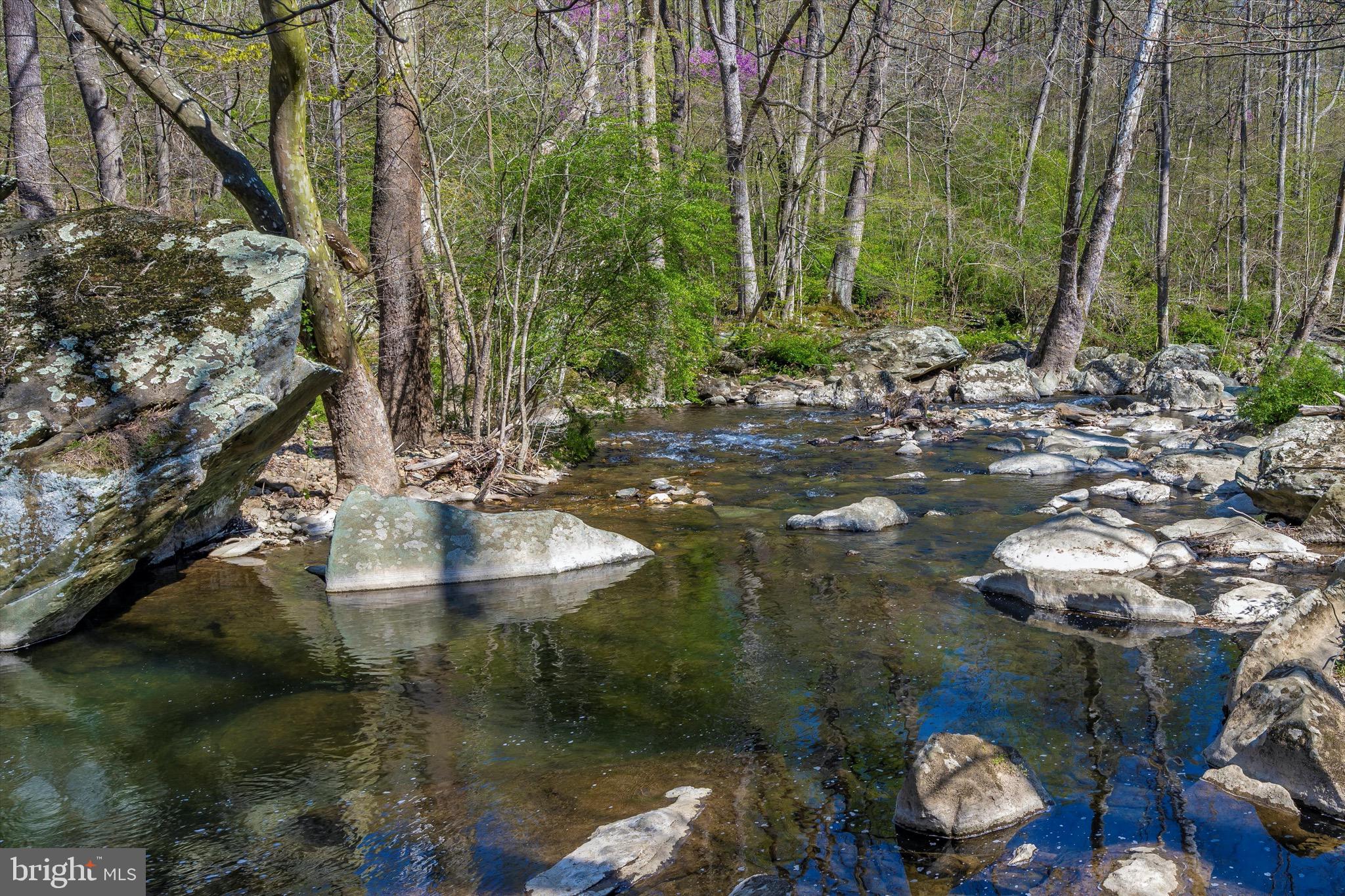 Friends Creek Road Emmitsburg, MD 21727 - Photo 31 of 39