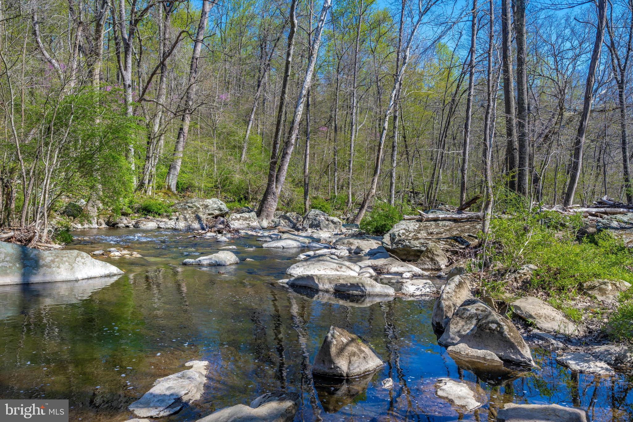 Friends Creek Road Emmitsburg, MD 21727 - Photo 32 of 39