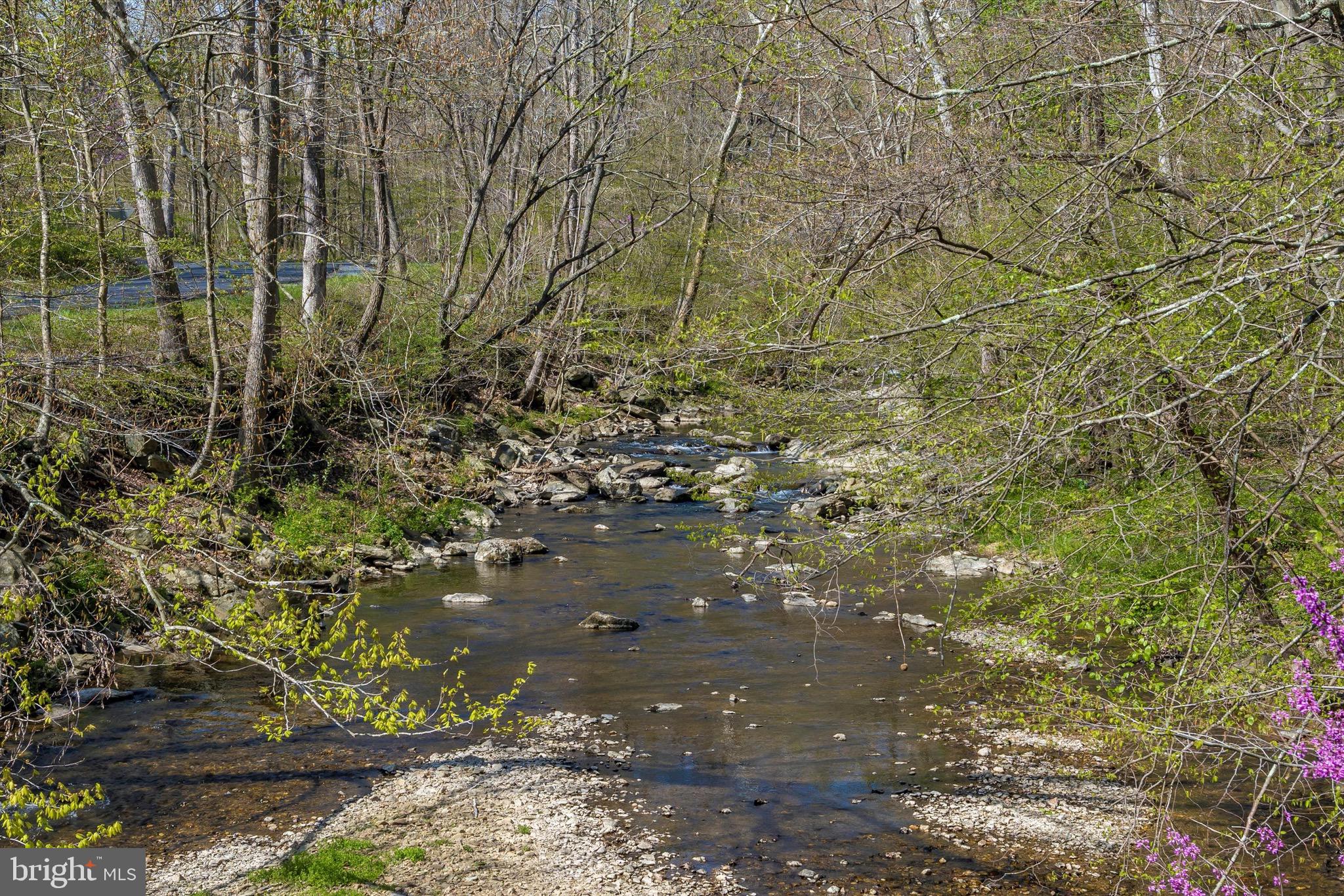 Friends Creek Road Emmitsburg, MD 21727 - Photo 34 of 39