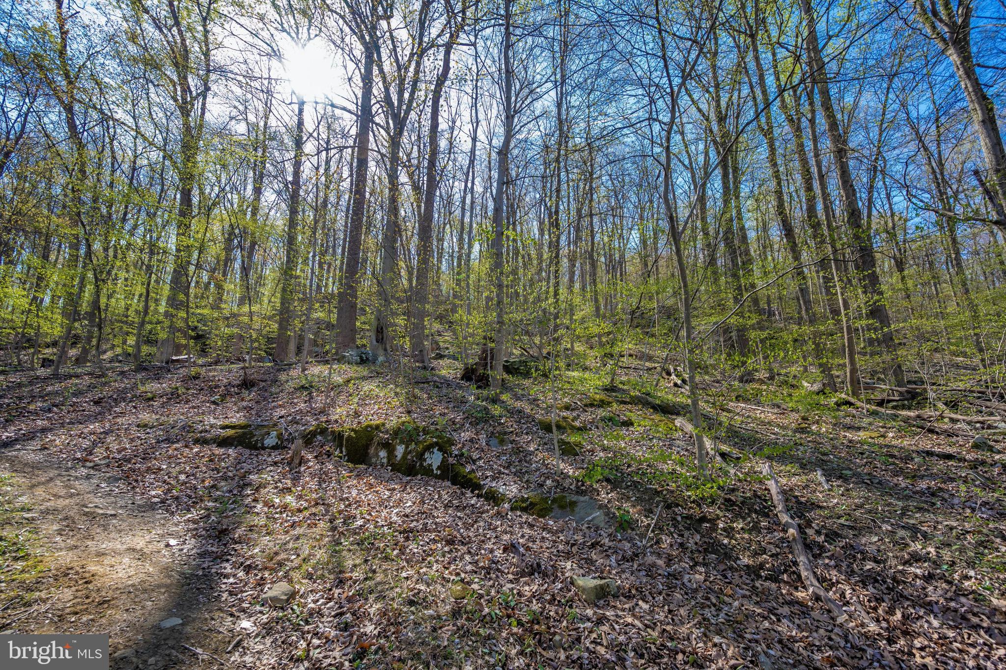 Friends Creek Road Emmitsburg, MD 21727 - Photo 36 of 39