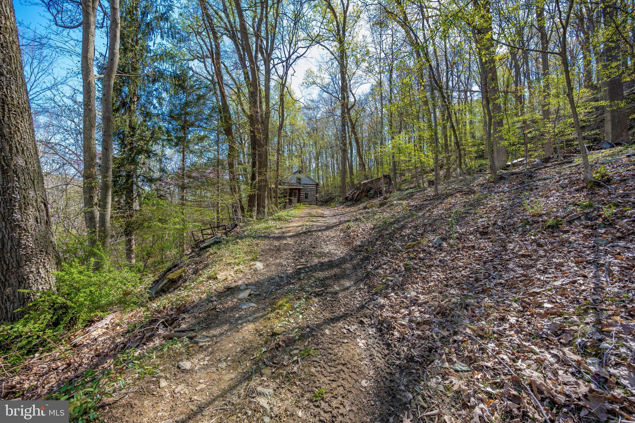 Friends Creek Road Emmitsburg, MD 21727 - Photo 38 of 39