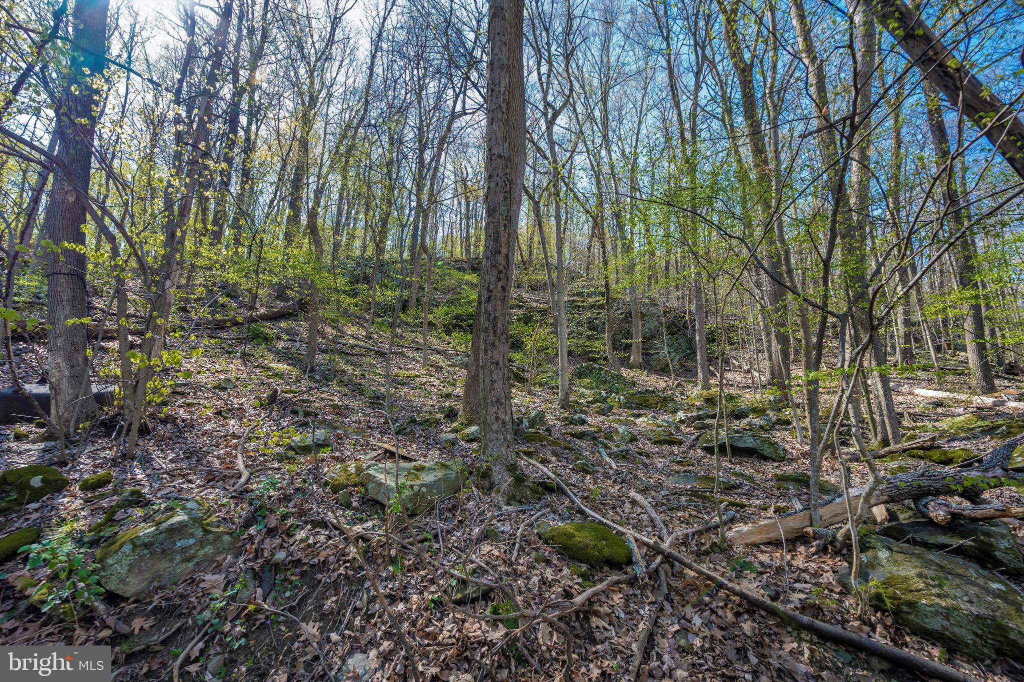 Friends Creek Road Emmitsburg, MD 21727 - Photo 39 of 39