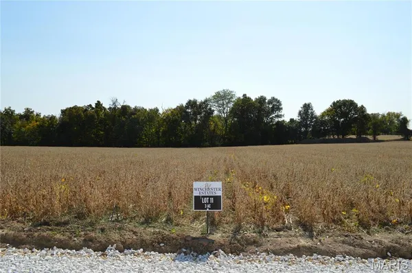 $145,000 | 11302 Windsor Place, Wright City, MO 63390