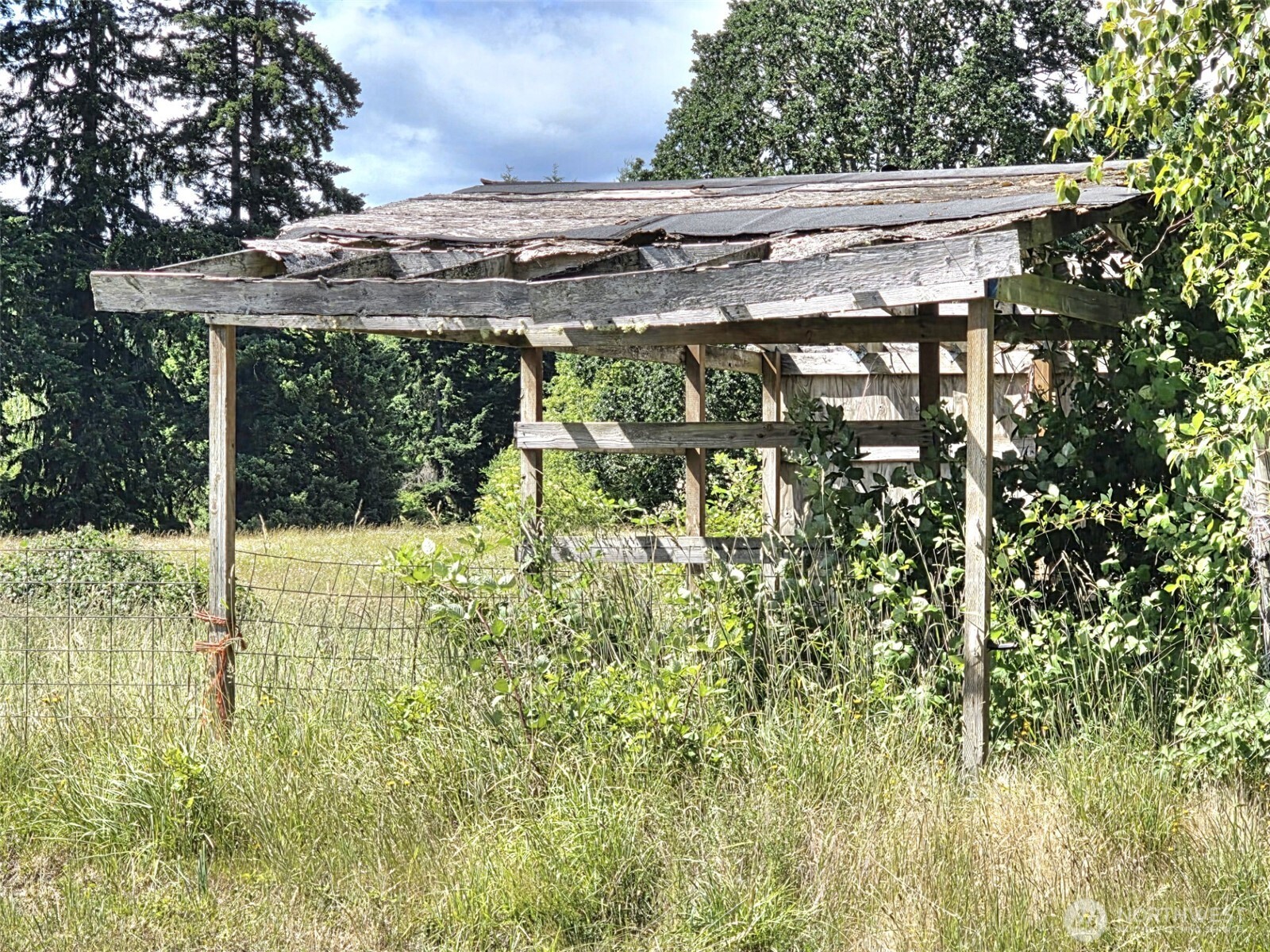 11916 Fillman Road Southeast Rainier, WA 98576 - Photo 20 of 33