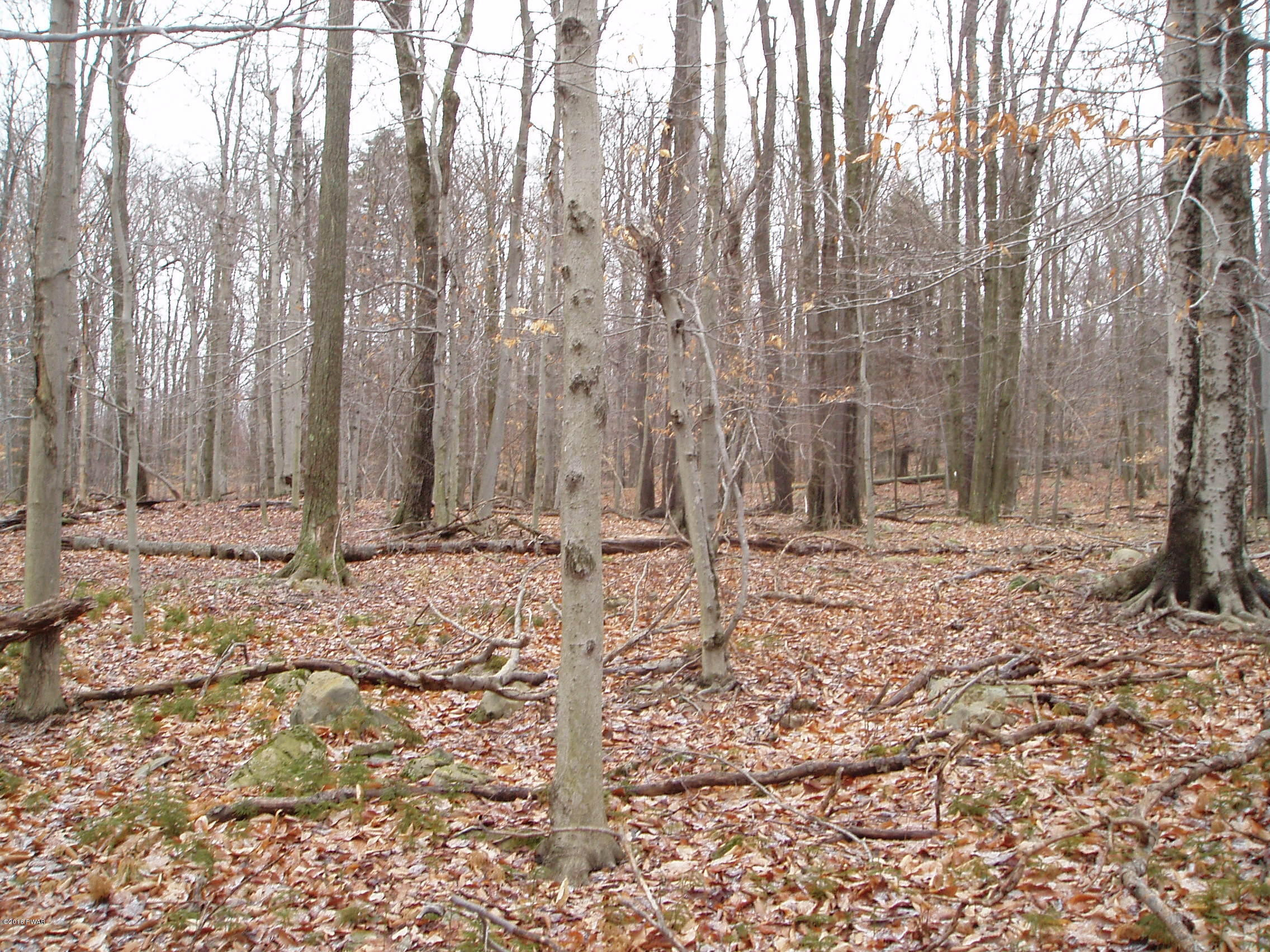 125 Cobblewood Road Newfoundland, PA 18445 - Photo 1 of 2