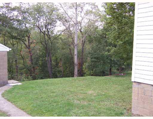 835 Walnut Street Rochester, PA 15074 - Photo 4 of 17 Land/Lot. WOODED BACK YARD