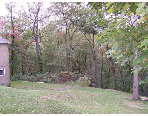 835 Walnut Street Rochester, PA 15074 - Photo 5 of 17 Land. BACK YARD