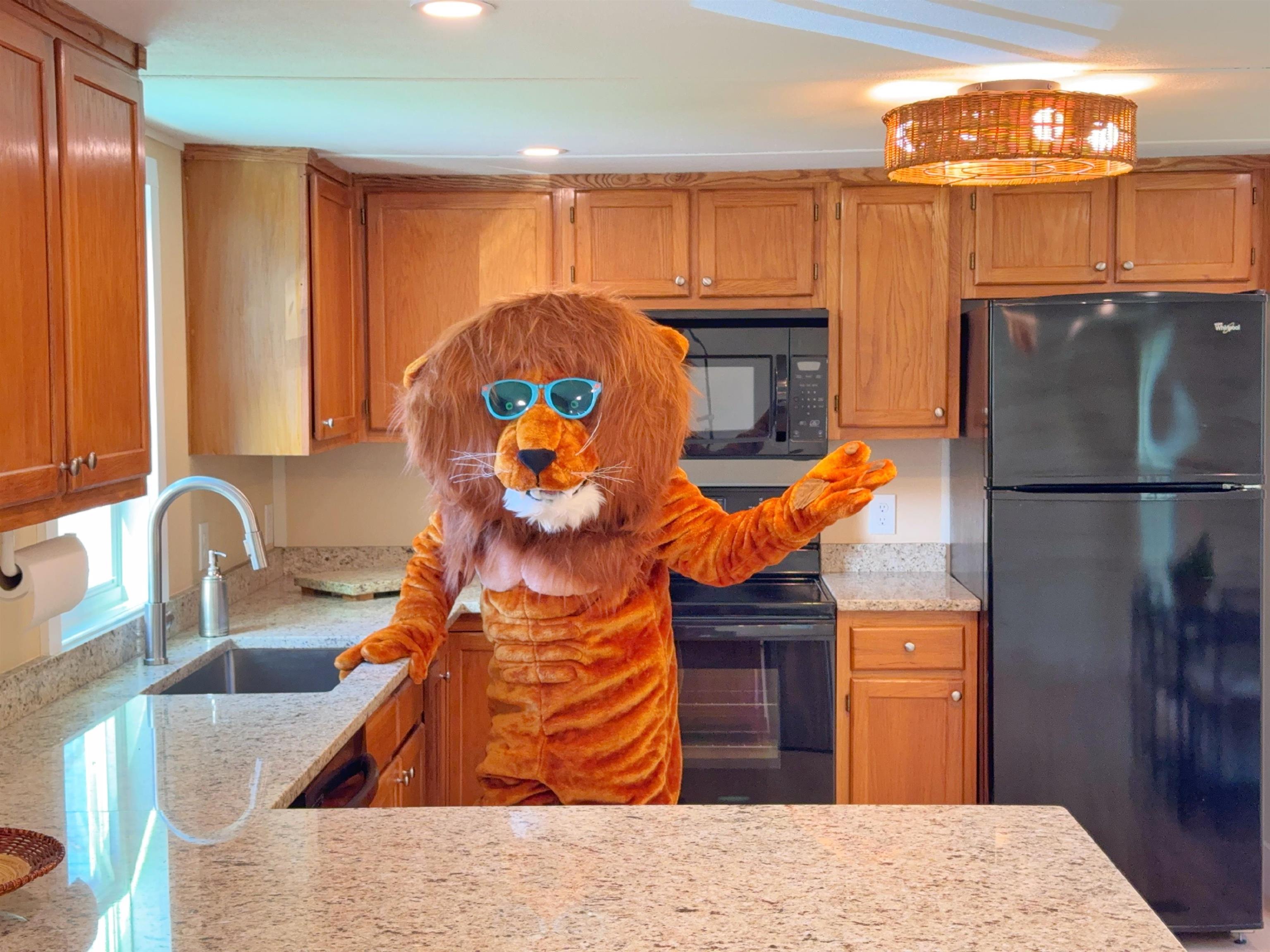 4062 Quail Drive St. Augustine, FL 32084 - Photo 12 of 39 a kitchen with a refrigerator and a sink