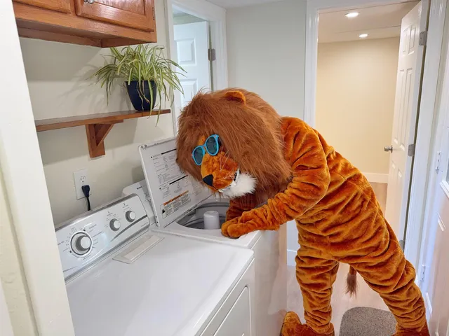 a view of washer and dryer