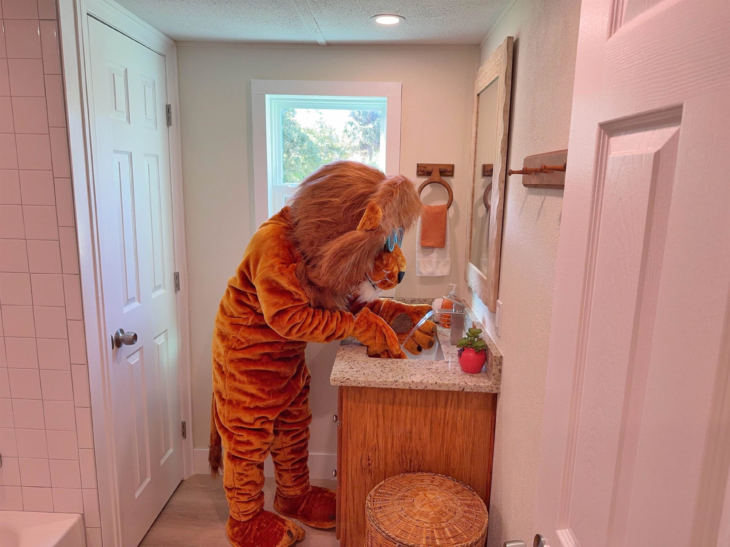 4062 Quail Drive St. Augustine, FL 32084 - Photo 30 of 39