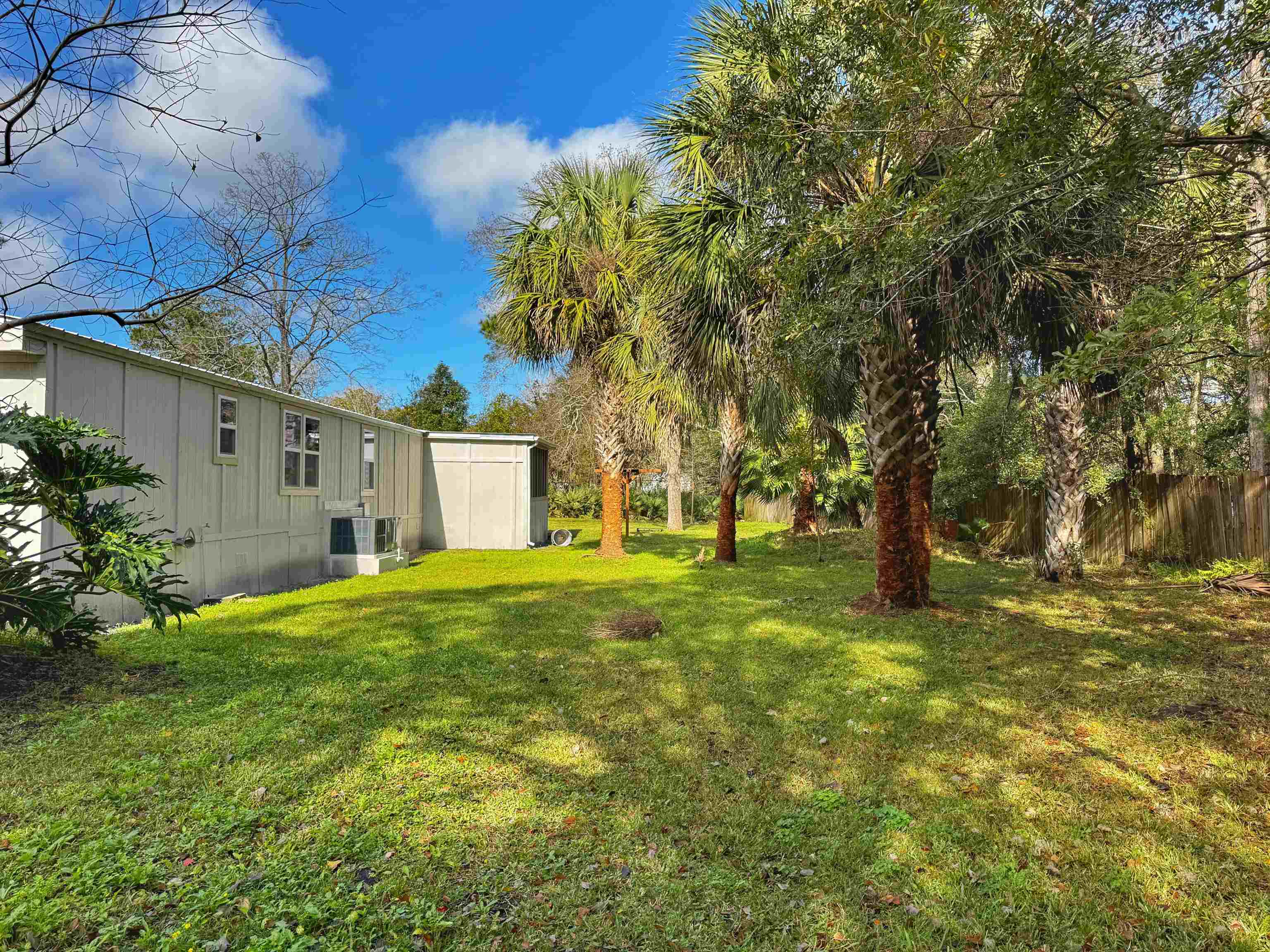 4062 Quail Drive St. Augustine, FL 32084 - Photo 39 of 39 a view of a trees in front of a house with a large tree