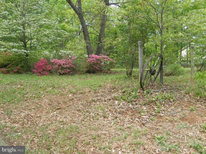 16126 Gibson Mill Road Culpeper, VA 22701 - Photo 14 of 22 Exterior #2