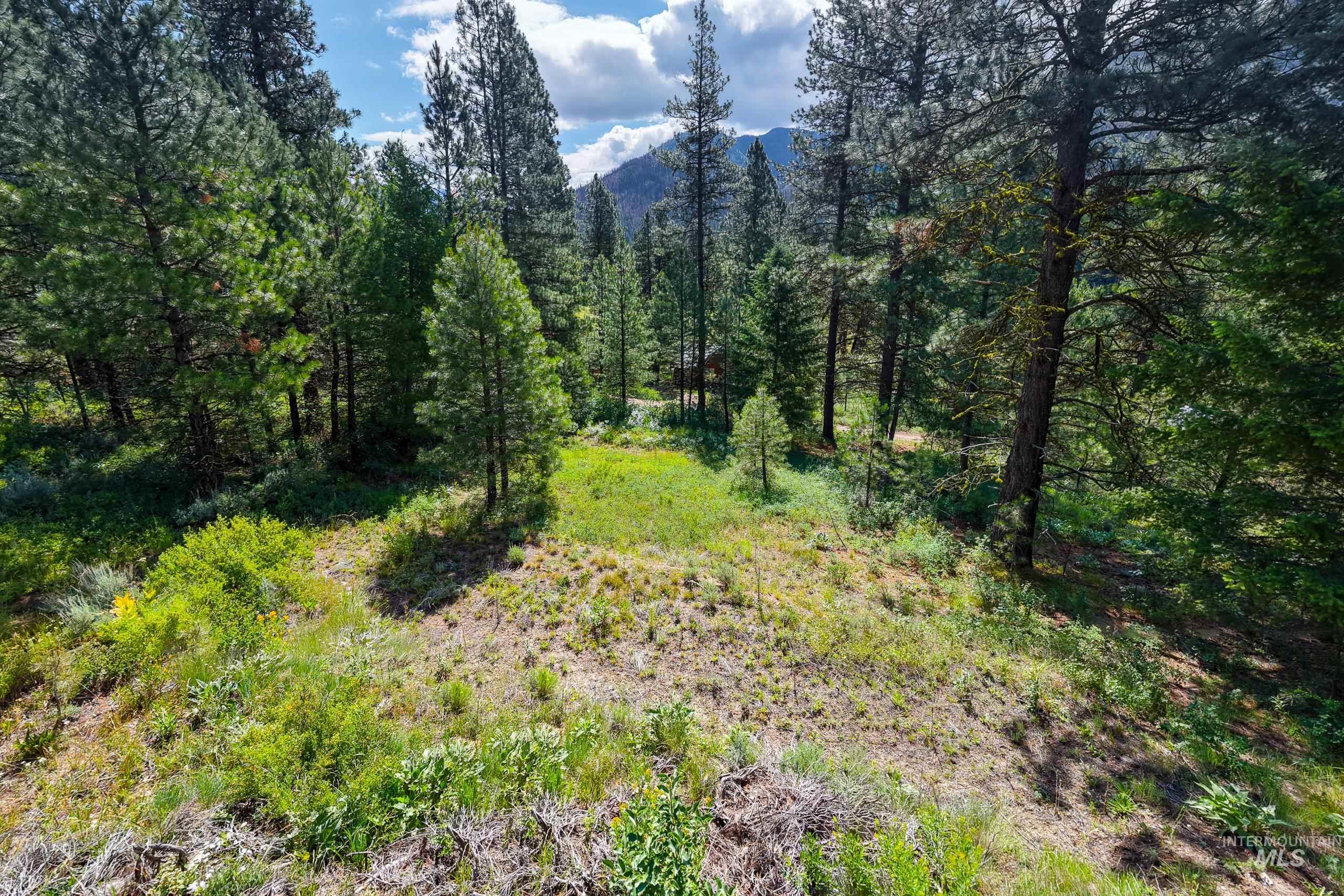 Lot 13 Valley Road Lowman, ID 83637 - Photo 9 of 19
