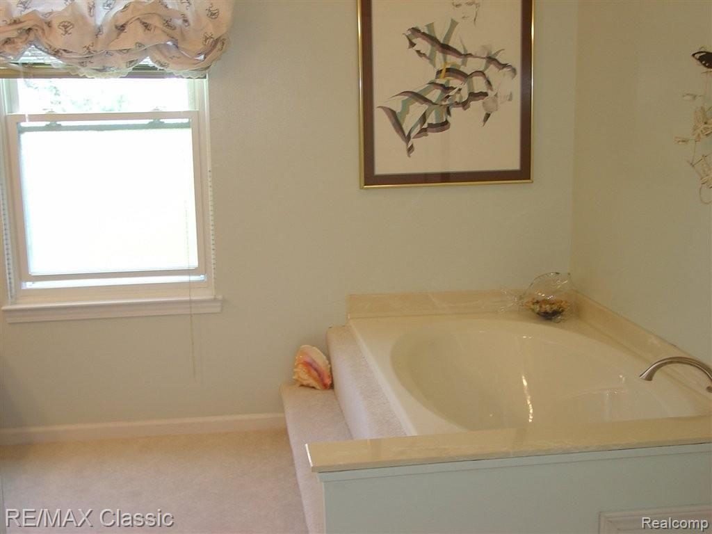 24709 Jamestowne Road Novi, MI 48375 - Photo 11 of 15 Garden Tub