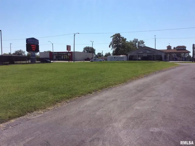 a view of a green field with plants and trees in the background