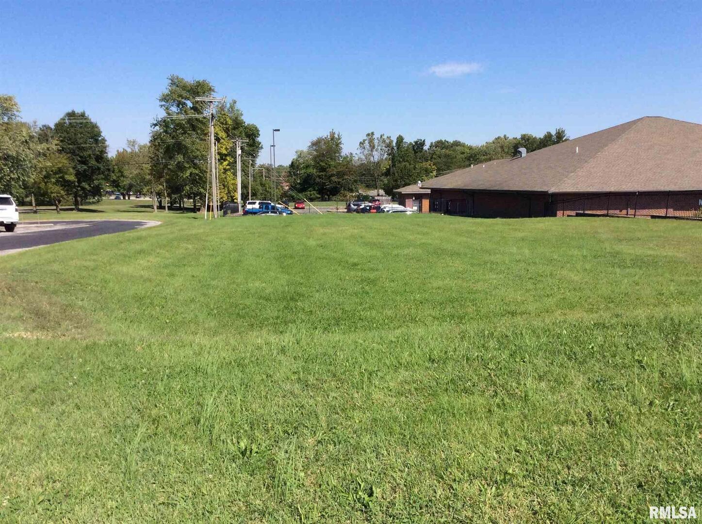 2906 Broadway Street Mount Vernon, IL 62864 - Photo 5 of 12 a view of a green field with plants and trees in the background