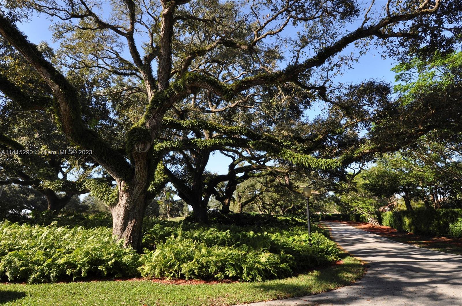 9641 Ridgeside Court Davie, FL 33328 - Photo 77 of 78