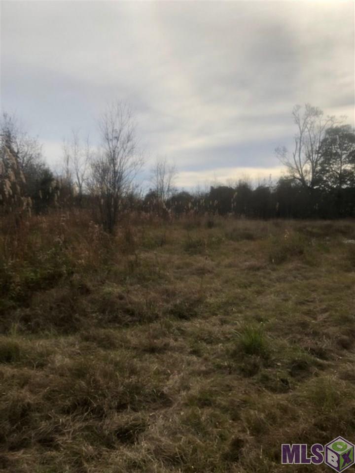 37243 Weiss Road Denham Springs, LA 70706 - Photo 2 of 9