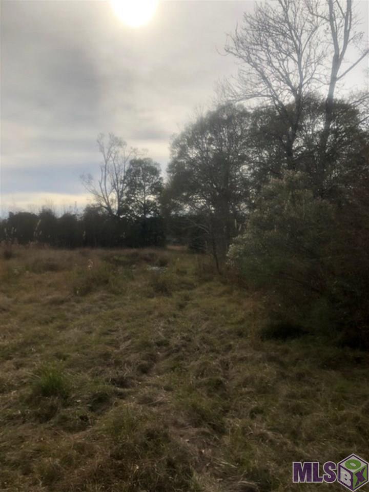 37243 Weiss Road Denham Springs, LA 70706 - Photo 3 of 9