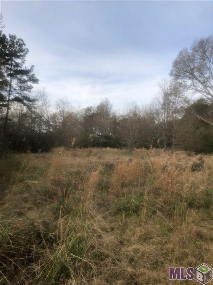 37243 Weiss Road Denham Springs, LA 70706 - Photo 4 of 9