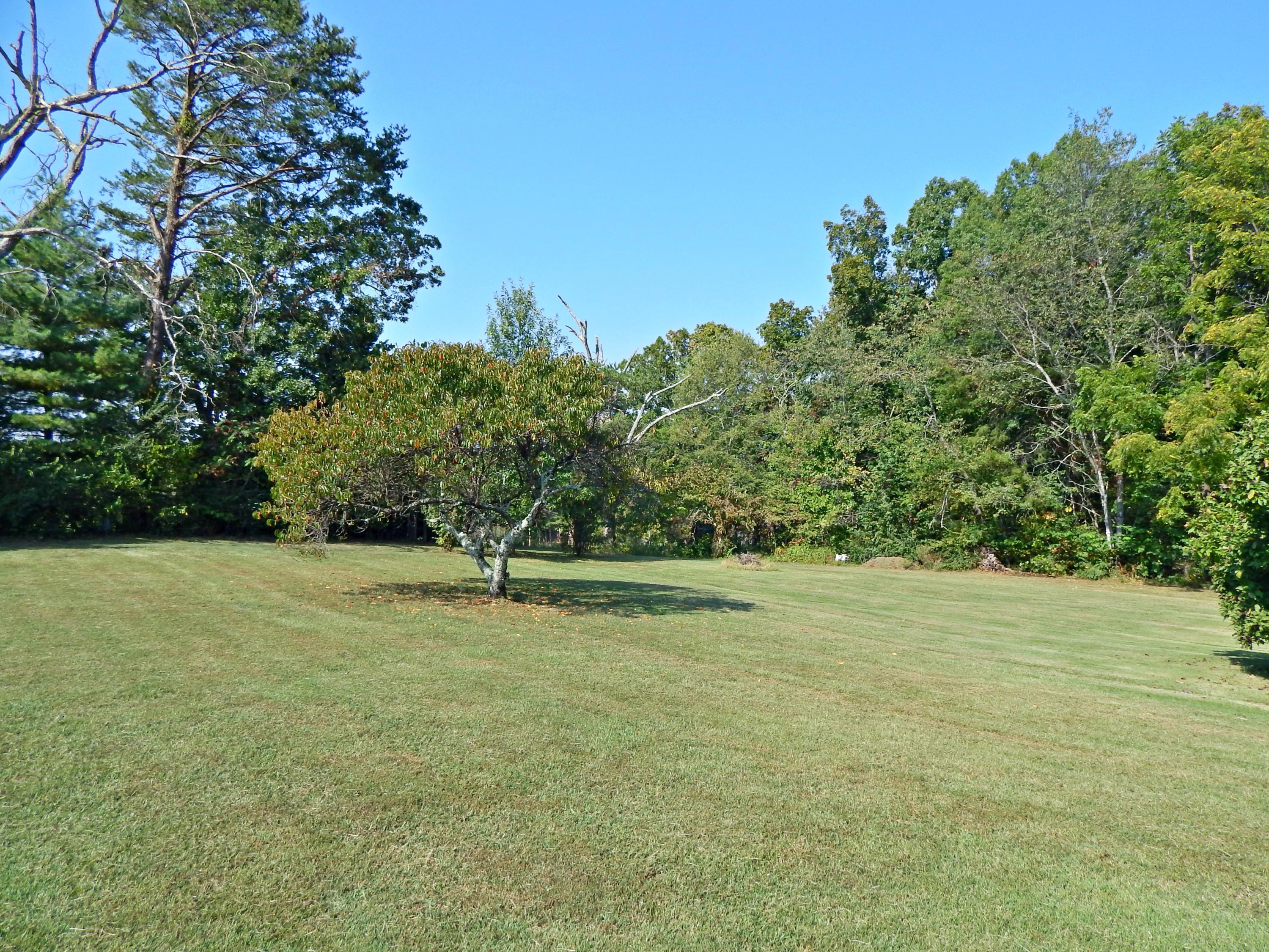 2210 Little Best Road Maryville, TN 37803 - Photo 5 of 33 9