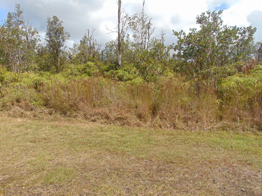 8526 South Uahi Road Mountain View, HI 96771 - Photo 3 of 22 Gallery Image 3