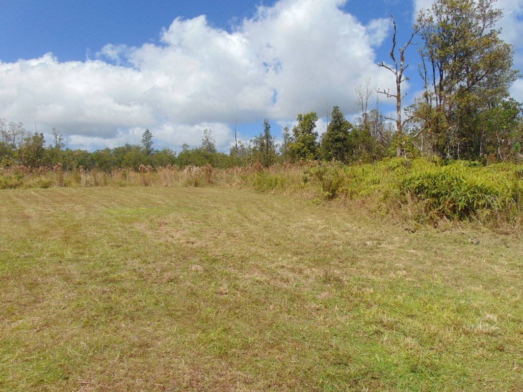 8526 South Uahi Road Mountain View, HI 96771 - Photo 4 of 22 Gallery Image 4