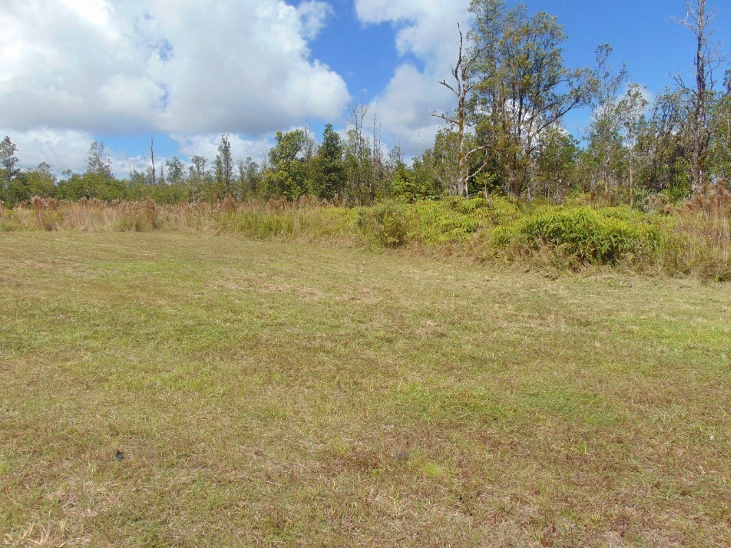 8526 South Uahi Road Mountain View, HI 96771 - Photo 7 of 22 Gallery Image 7