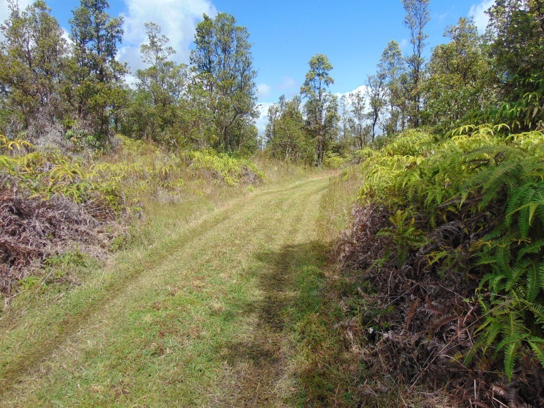 8526 South Uahi Road Mountain View, HI 96771 - Photo 10 of 22 Gallery Image 10
