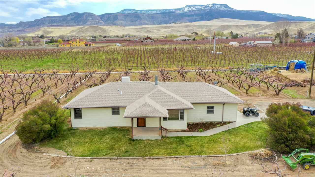 528 36 Road Palisade, CO 81526 - Photo 1 of 42 Gallery Image 1