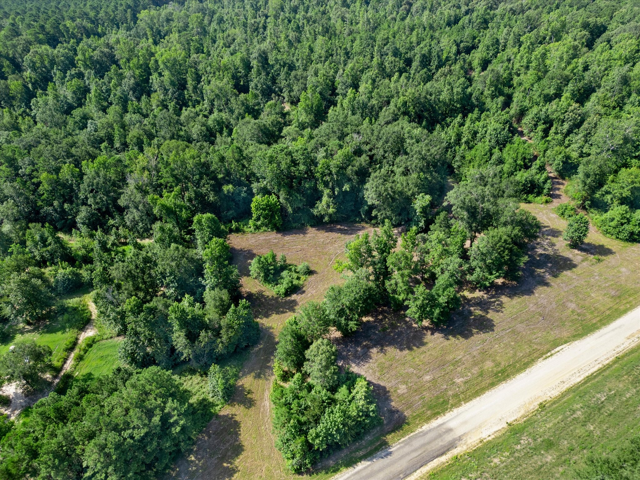 Tbd Felix Currie Road Point Blank, TX 77364 - Photo 2 of 46 Gallery Image 2